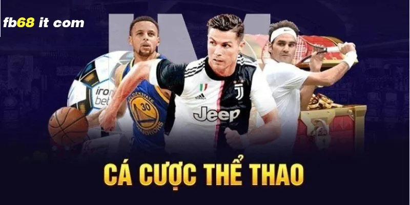 Nhiều giải đấu của các môn thể thao hot tại On Sport fb68